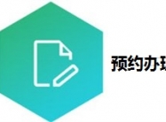 预约办理